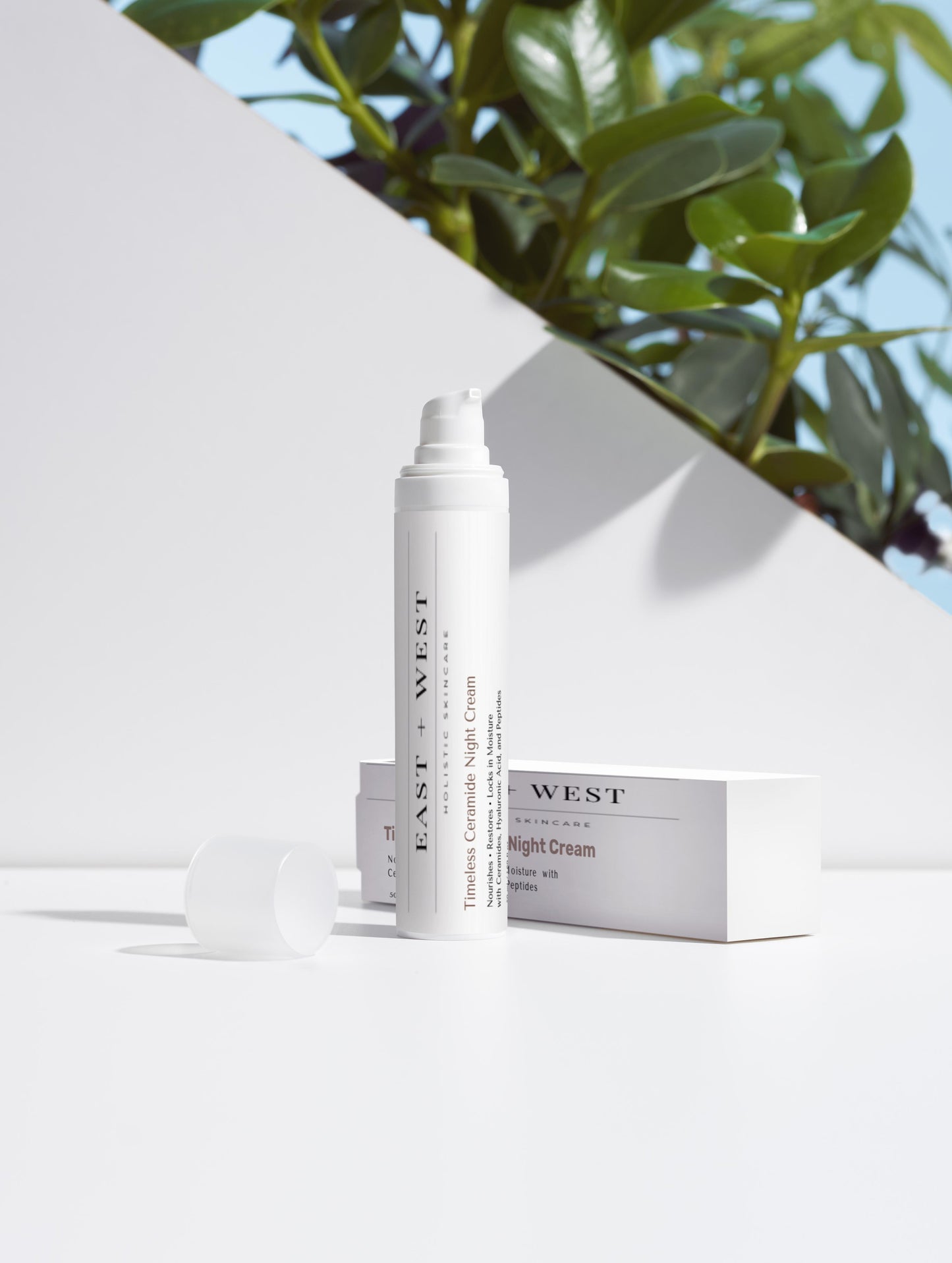 Timeless Ceramide Night Cream (Skin healing/hydration)