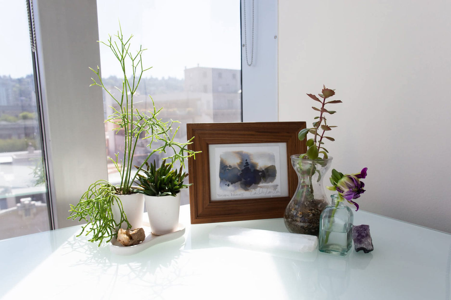 Plant Health