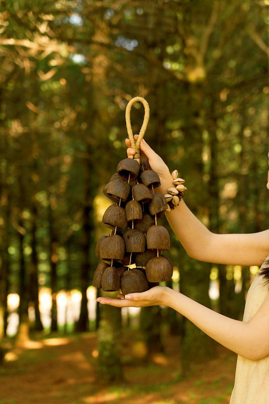 Seed Shaker | Handmade Salin Water Bellwood Seed Shell Hand Bell – Natural Rainforest Decor